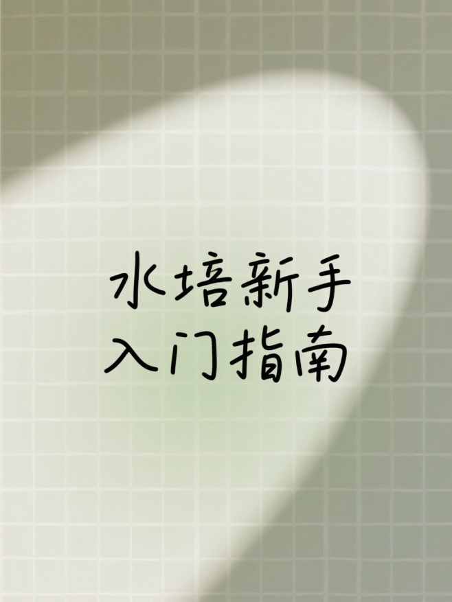 作品预览图