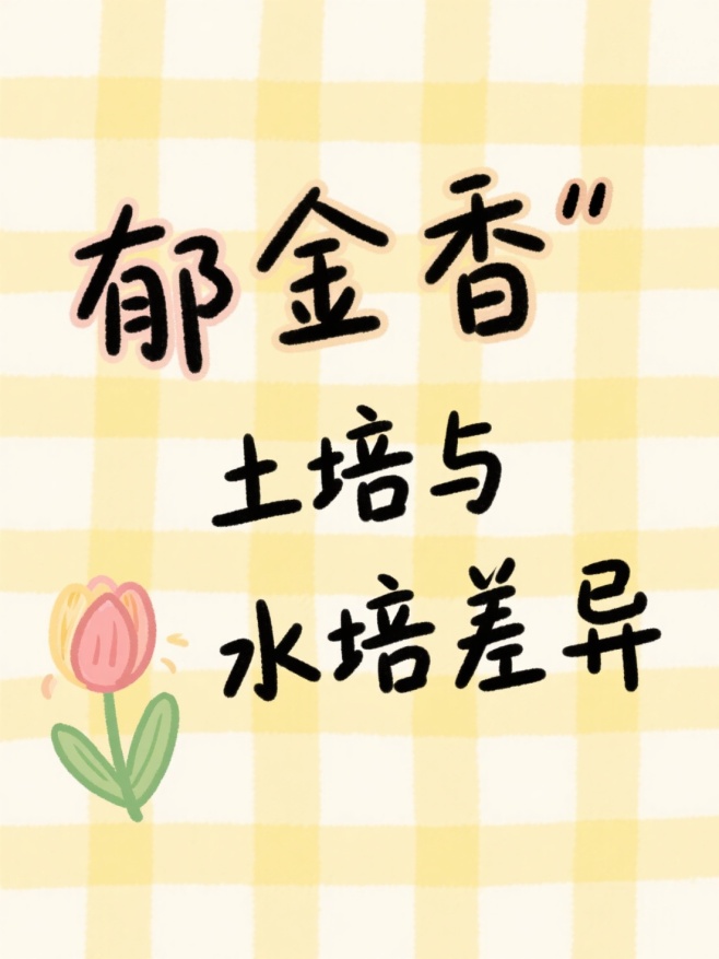 作品预览图