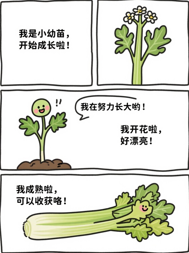 作品预览图